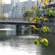 大岡川と橋の風景 大橋 玄