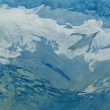 白井 裕子：飛翔 - 空と水の間を飛ぶ。： 2010年 多摩美術大学大学院美術研究科修士課程絵画専攻日本画研究領域 修了【1303×1620mm ／岩絵の具、雲肌麻紙】