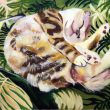 Loh Laiwei（ロー・カイウェイ）【マレーシア】：猫の寝顔 - 自分を飼っている猫はモチーフになって絵を作成しました【1167x910／油絵】