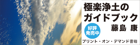 極楽浄土のガイドブック写真・文：藤島 康 臨死体験や夢の中の事象をもとに、写真とことばでつづる「死後世界」のイメージ。死への不安が消え、来世への希望の光が見える、ビジュアル版スピリチュアルブック。