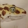 井上果波：君との時間 - ペットのヤモリの眼差しを描きました。【205×155mm ／水彩用紙、水彩絵具】