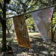 Team the Trees：多様性を求めて - 自然保護活動、里山、クライミング、子たちとアート活動、子ども食堂…。様々な団体情報をお渡しできます。是非つながってみて下さい